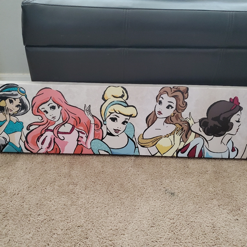 Princess Canvas